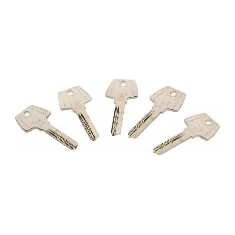 Cylindre à roue dentée Heracles Y7+ pour Mul-t-lock