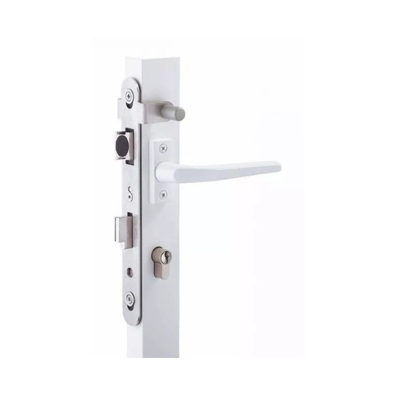 Serrure piscine Stremler 2268