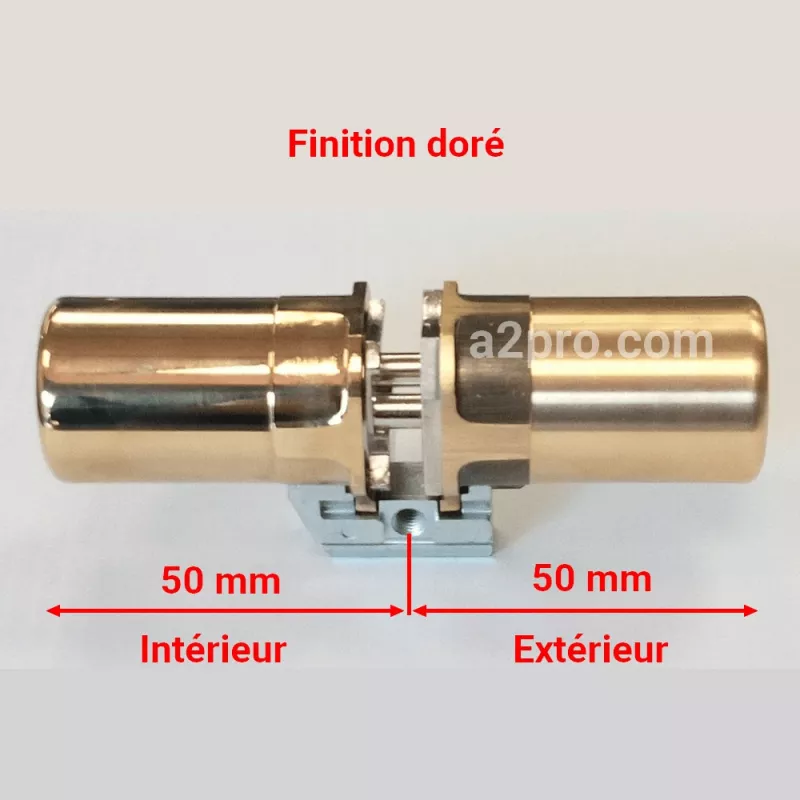Cylindre Fichet 787Z pour porte ProtecDoor