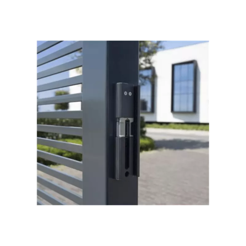 Locinox Modulec-SA 12-24V AC-DC electric strike