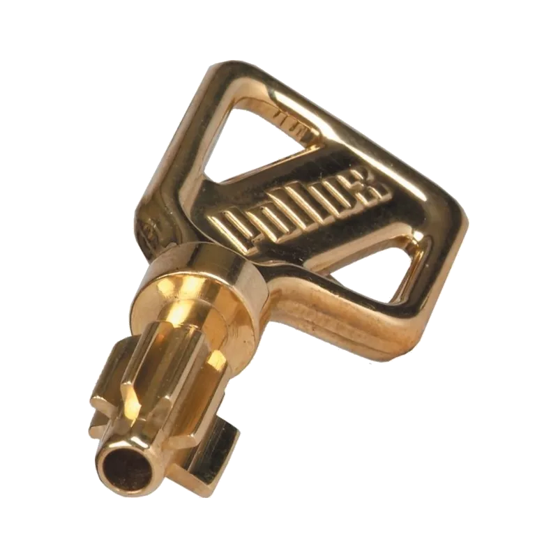 Pollux a2p1 7 fins Duplicate Key