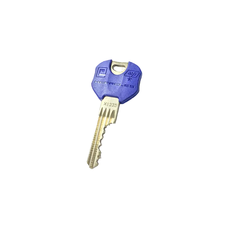 Heracles Y9 Duplicate Key