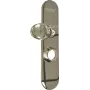 Pull handle on plate for Picard Diamant door