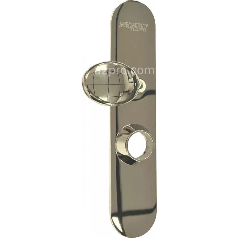 Pull handle on plate for Picard Diamant door