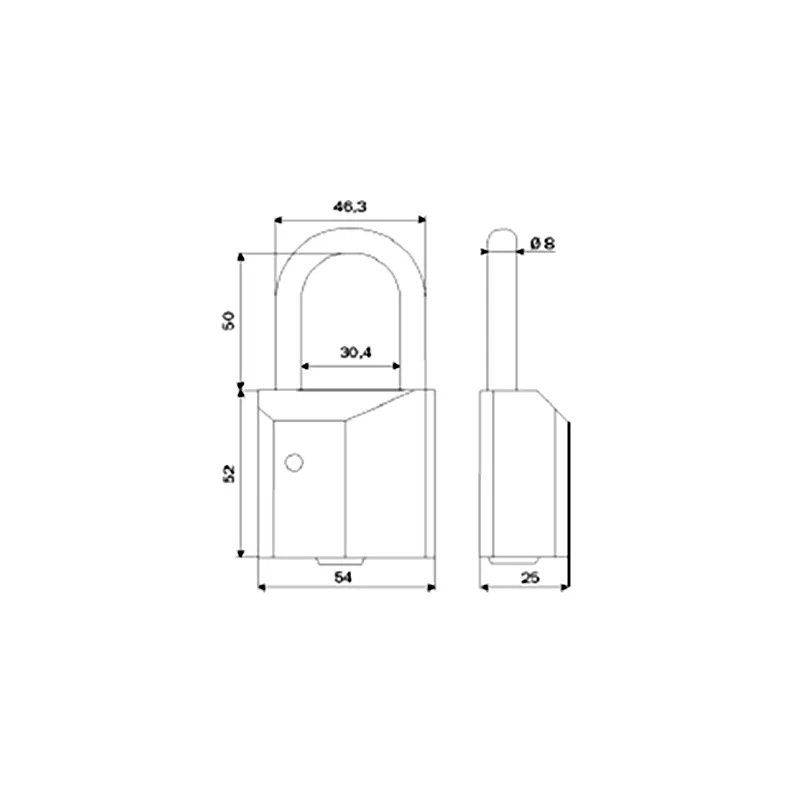 Bricard padlock for European half cylinder