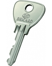 Bricard Alpha Key duplicate