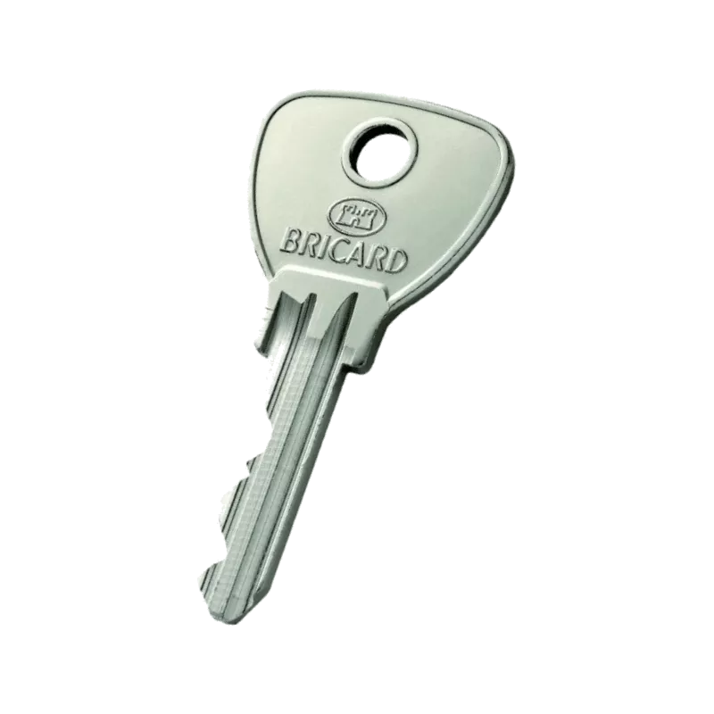 Bricard Alpha Key duplicate