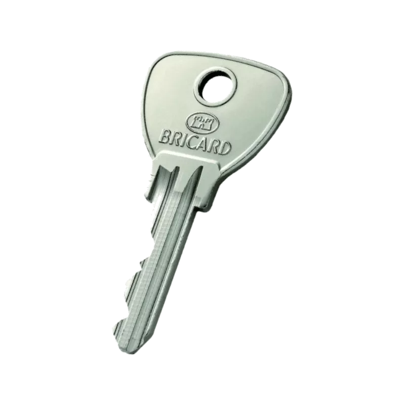 Bricard Alpha key