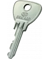 Bricard Alpha Key duplicate