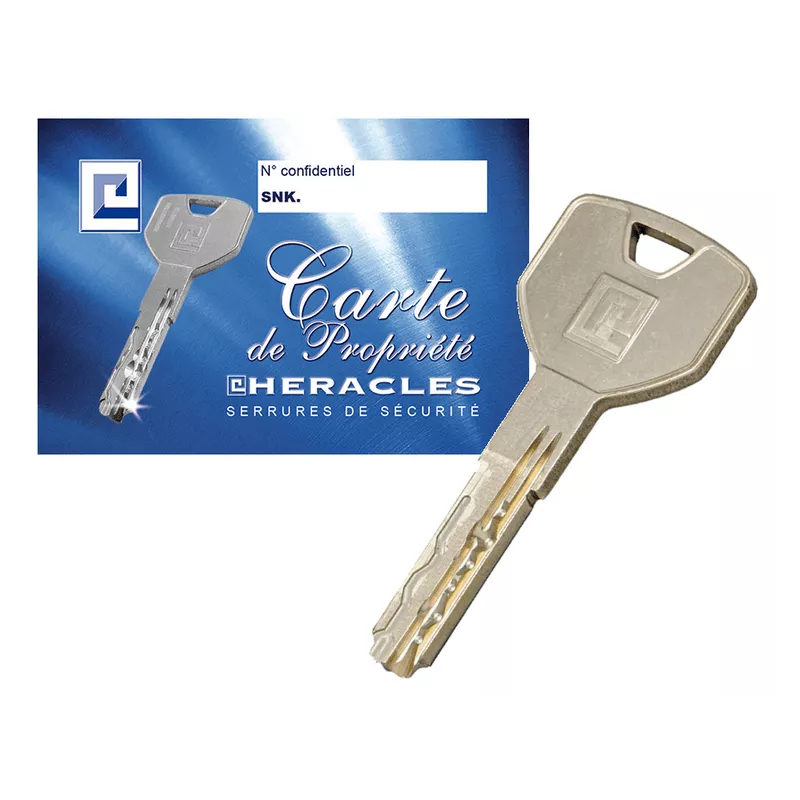 Heracles Snake cylinder with button