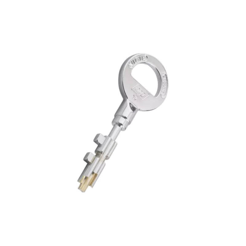 Picard Vigie Duplicate Key