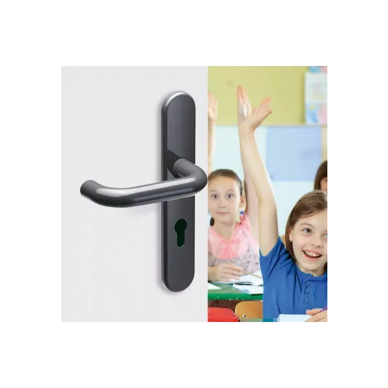 Ensemble sur plaque Vachette Arcolor 232 HR