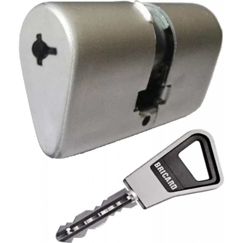 Bricard Supersurete Ovoid cylinder