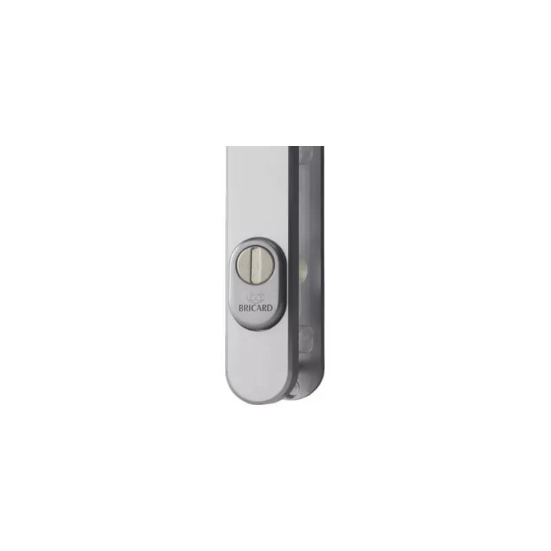 Bricard Osmose safe handle on narrow plate