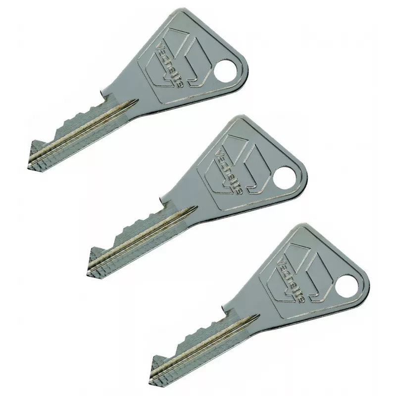 Vachette V5 cylinder set