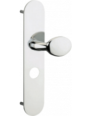 Outer pull handle on plate for Picard Locks