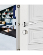 Picard Presence 2 narrow lock with VTX cylinder