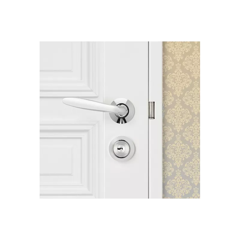 Picard Presence 2 narrow lock with VTX cylinder