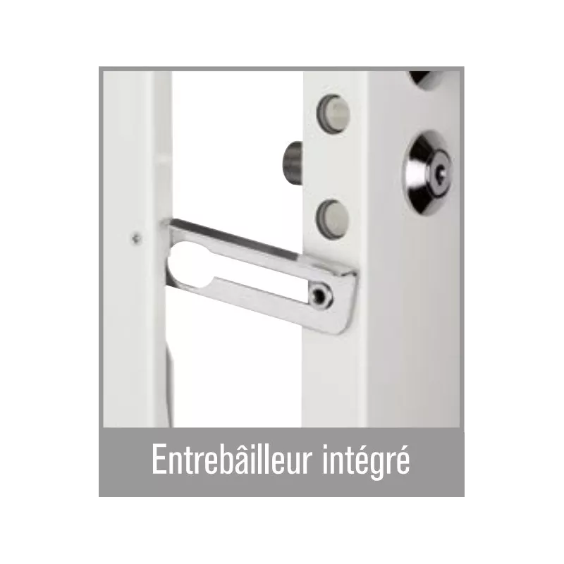 Picard Presence 2 Lock with Vigie Mobile cylinder