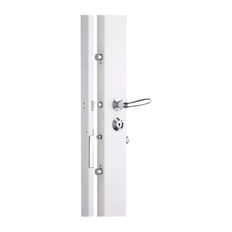 Picard Presence 2 Lock with Vigie Mobile cylinder