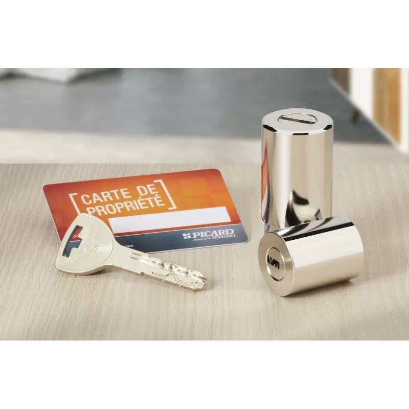 Picard Presence 2 Lock with VTX cylinder