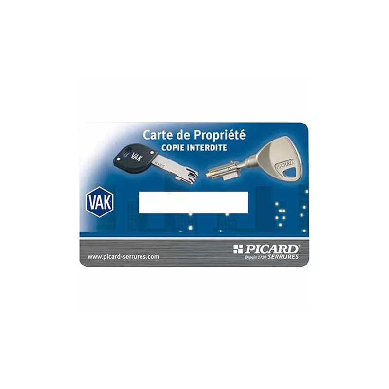 Picard Kaba A2P1* for Ermetis lock