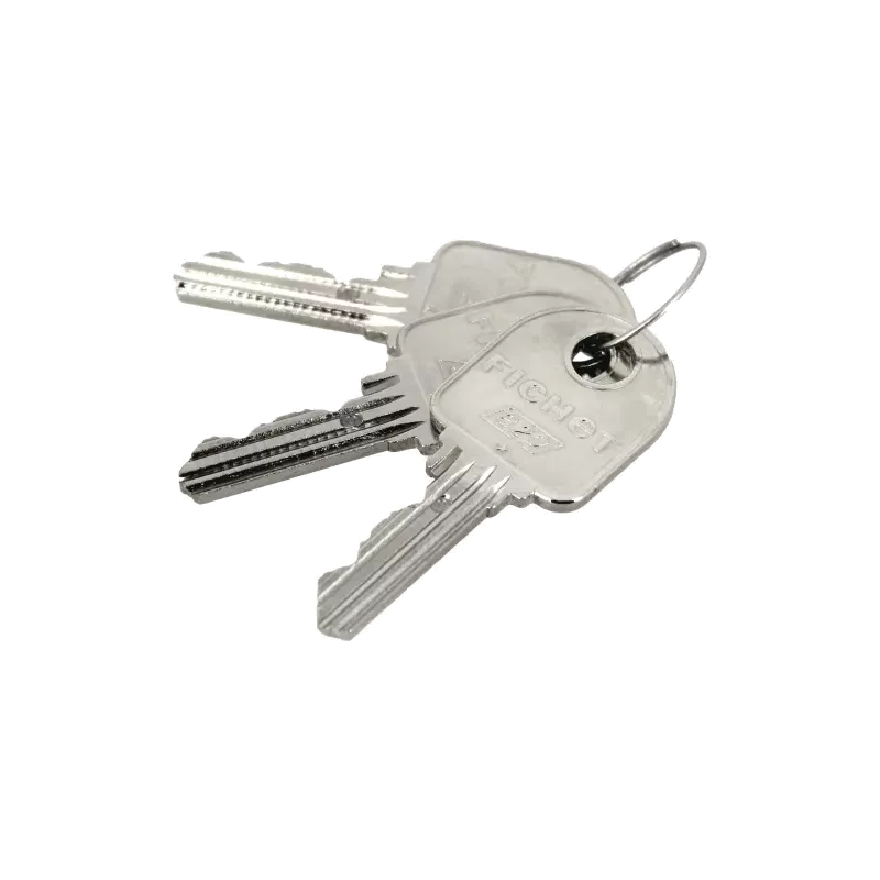 Cylindre Fichet A2P1 étoile pour porte Fichet G351