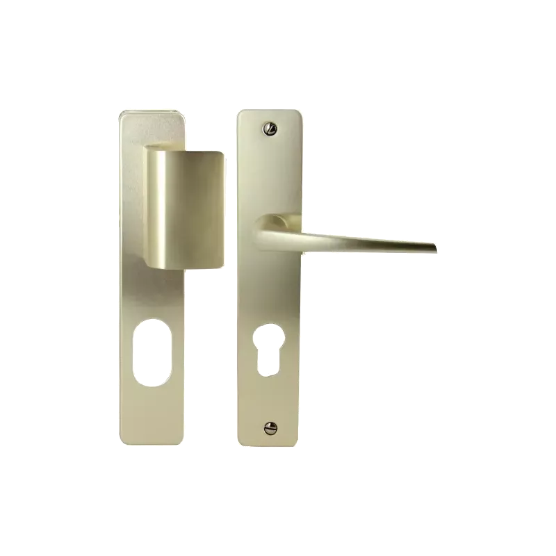 Jeu de Poignée pour Fichet Paliéris G351