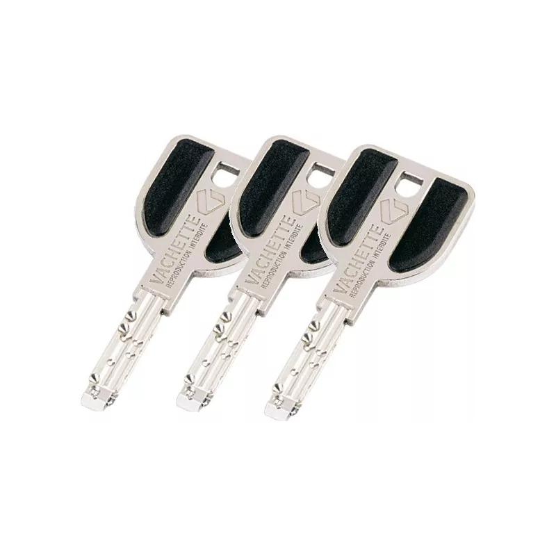 Vachette 3-point lock with Radialis cylinder