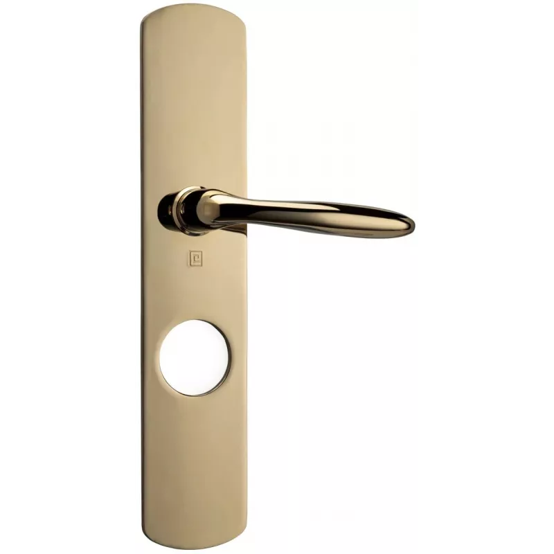 Meïra handle outside side for Lock Heracles Sesame