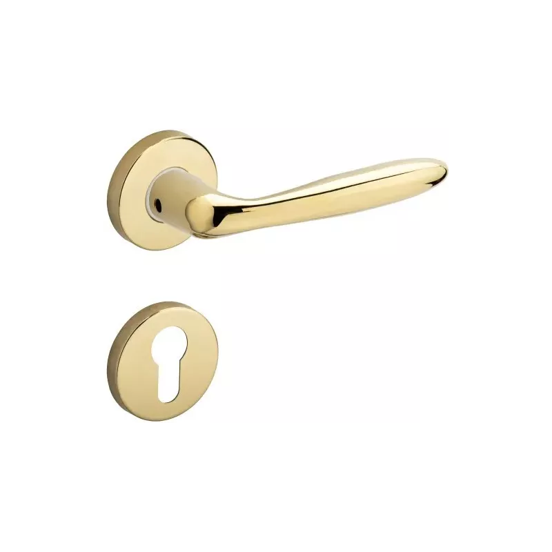 Poignée intérieure sur rosace pour Héraclès Sésame