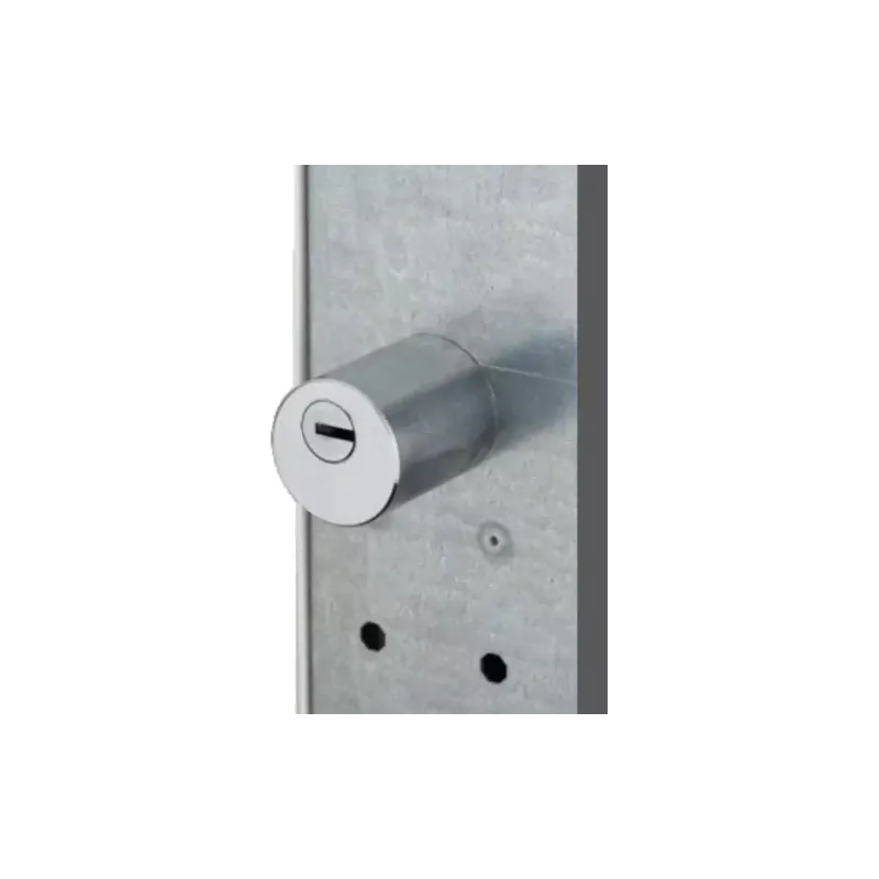 Protecteur de cylindre pour serrure Héraclès Sésame 1 et 2