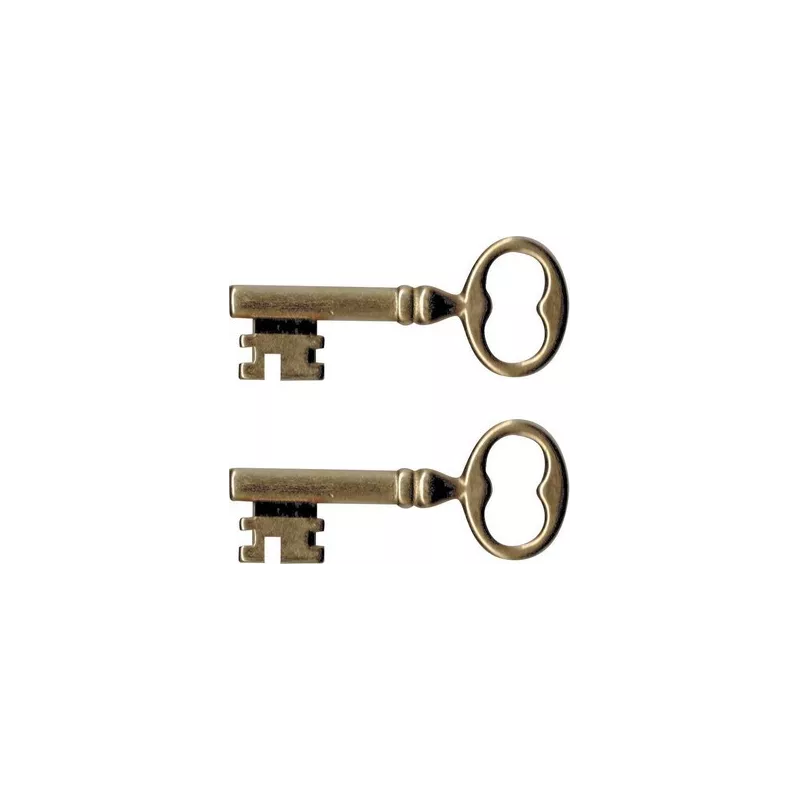 Metalux 973 "Santé" type prison lock