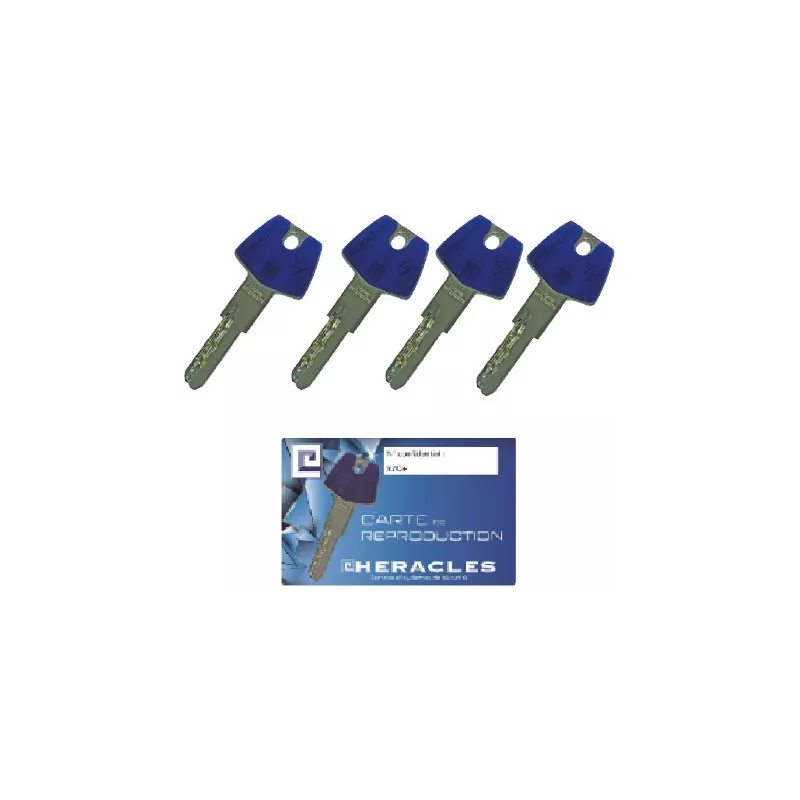 Swiss profile cylinder Heracles Y7+