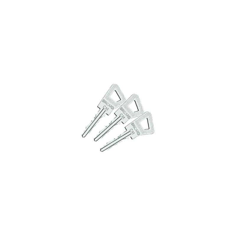 Cylindre Bricard Bloctout à bouton