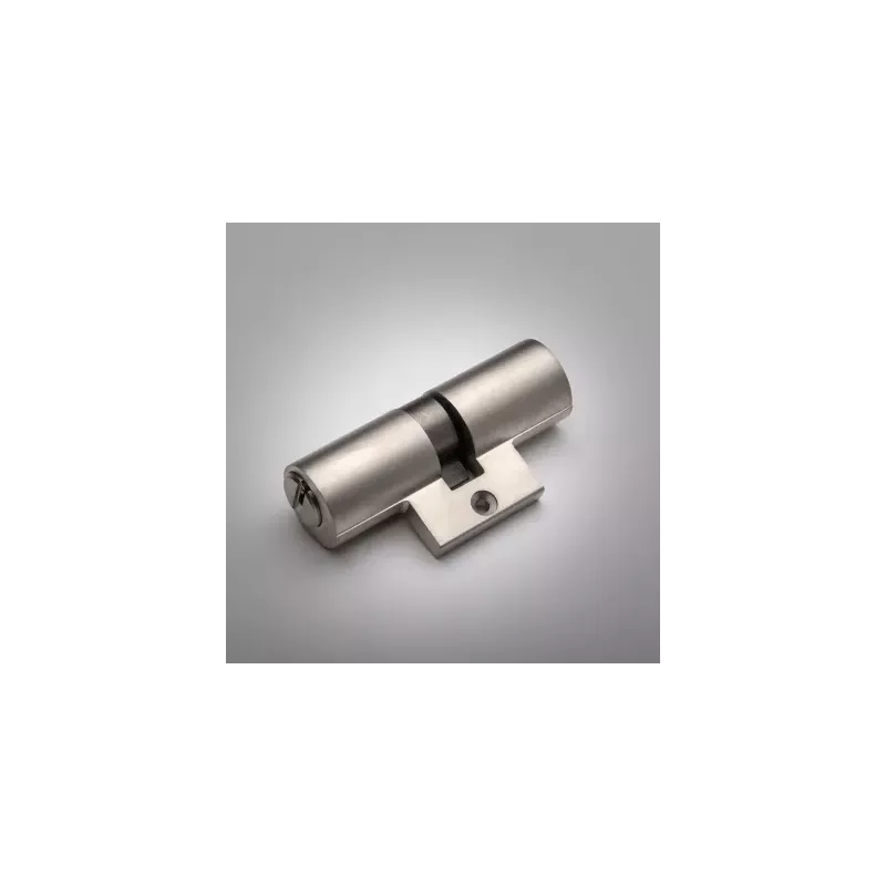 Cylindre Heraclès Y7+ compatible Bricard Bloctout