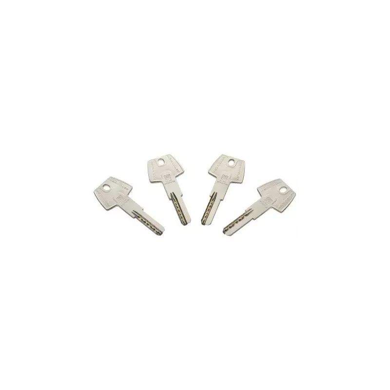 Cylindre Heraclès Y7+ compatible Cavith