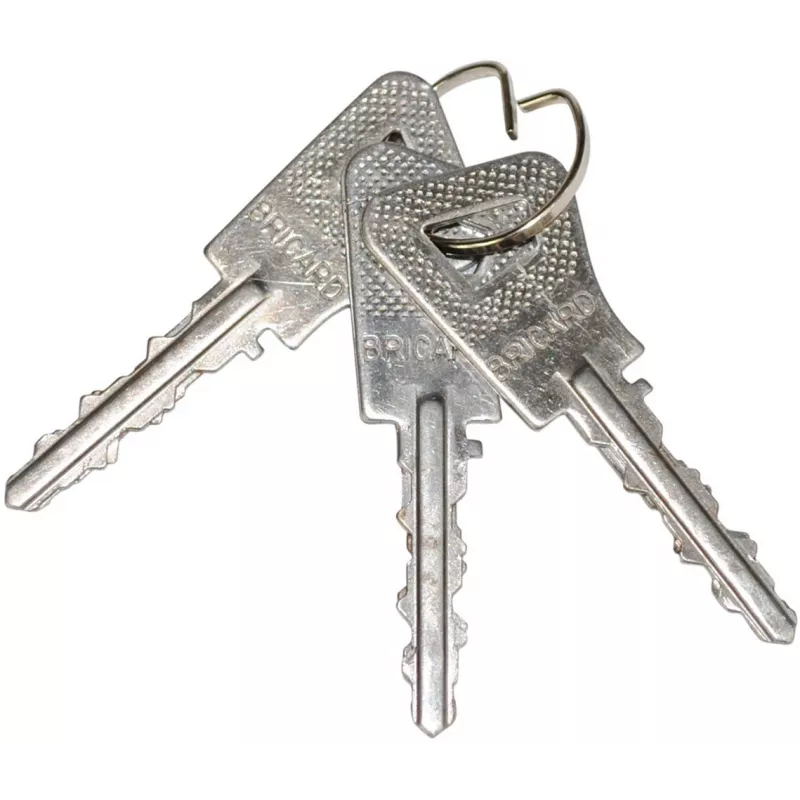 Bricard Bloctout ovoid cylinder