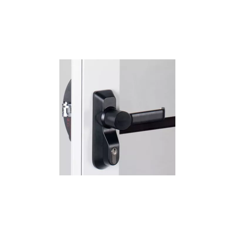 Module extérieur "grand modèle" pour antipanique Bricard