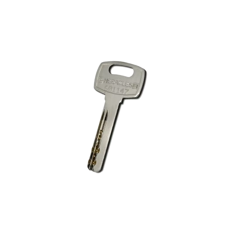 Double de clé Yardeni Y6