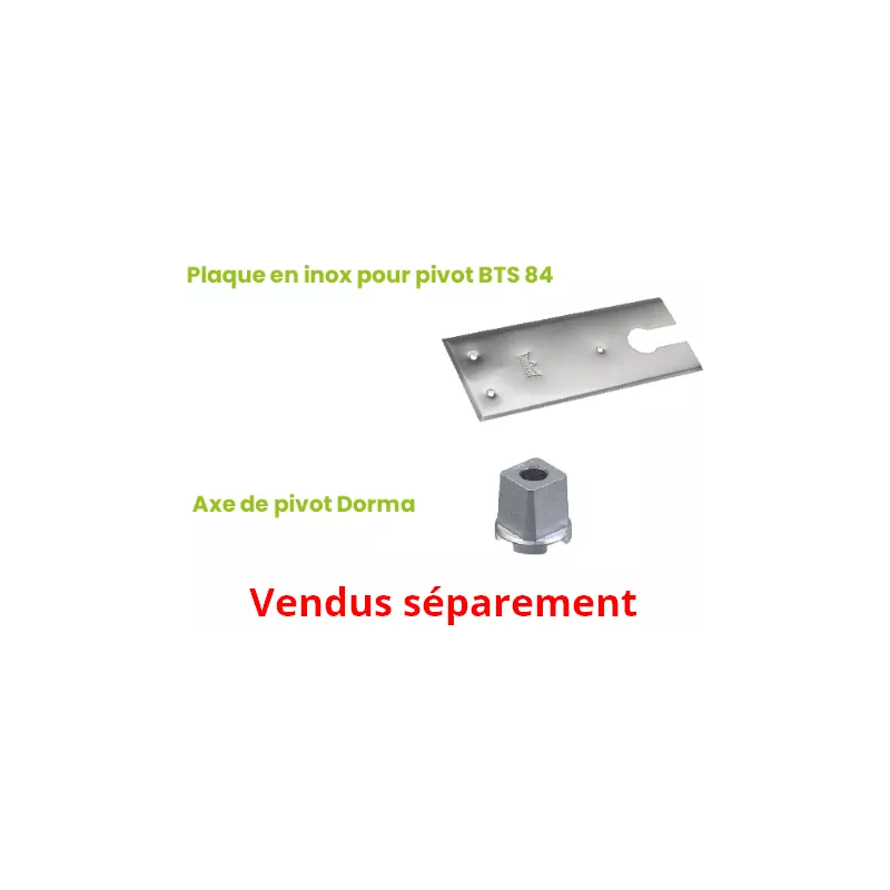 Dorma BTS 84 Floor door closer