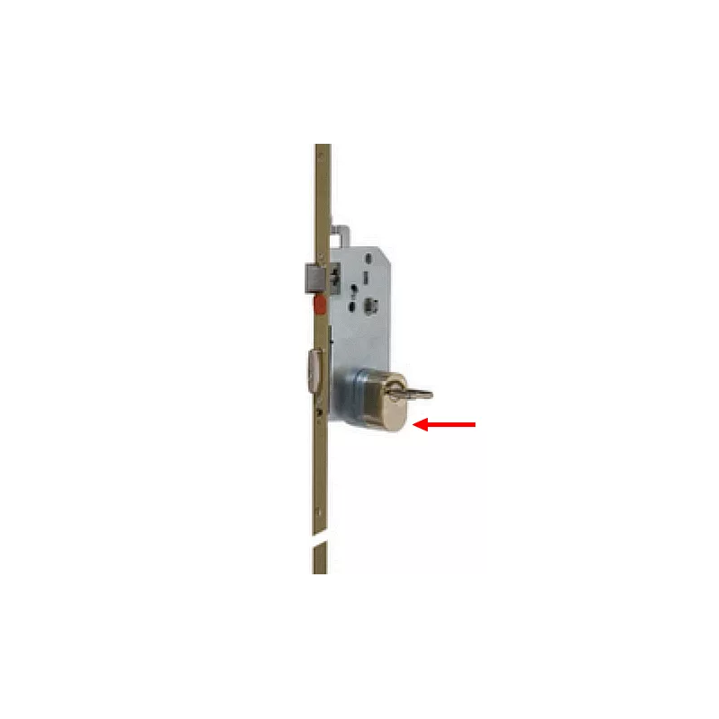 Protecteur de cylindre pour serrure Vachette 5000/5900 A2P2**