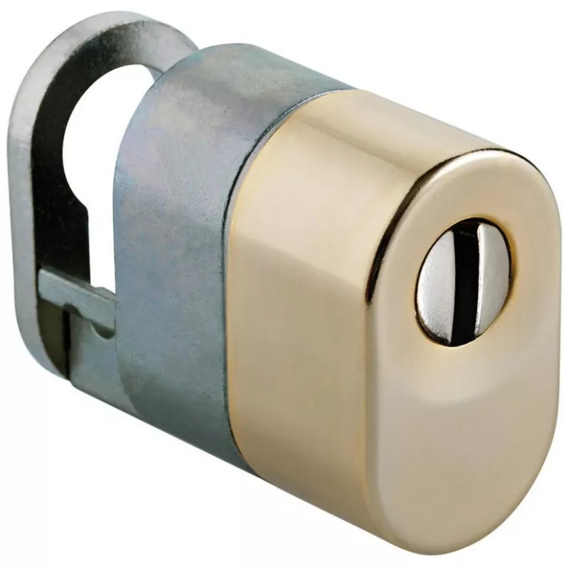 Protecteur de cylindre pour serrure Vachette 5000/5900 A2P2**