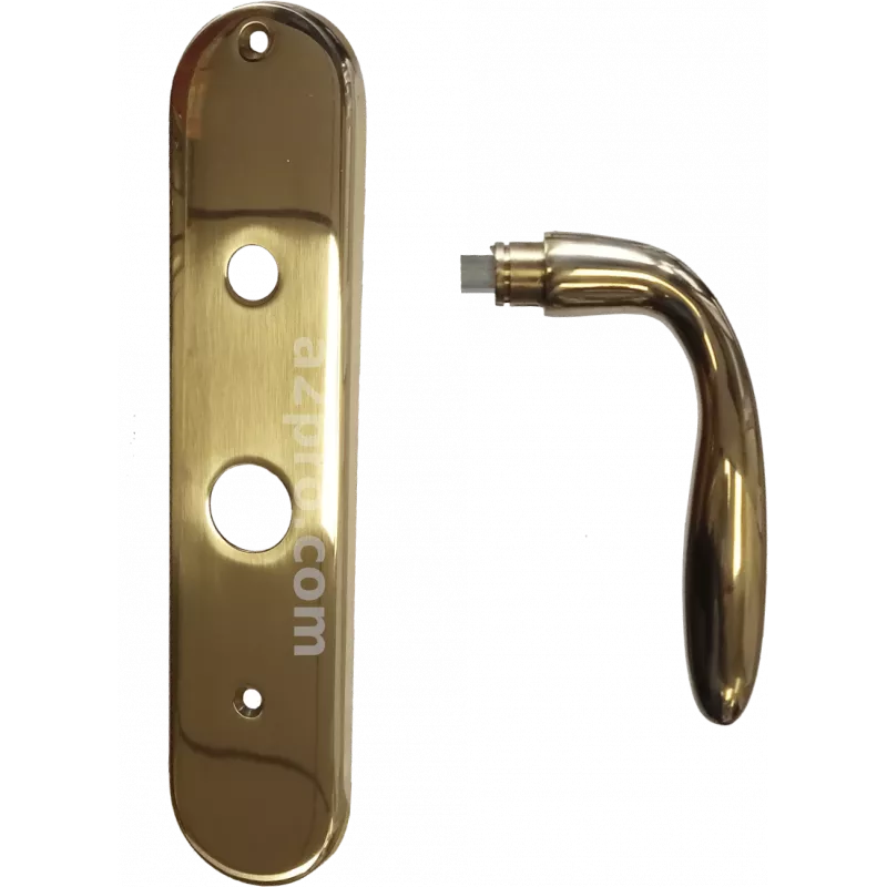 Fichet Inside handle with handle on plate