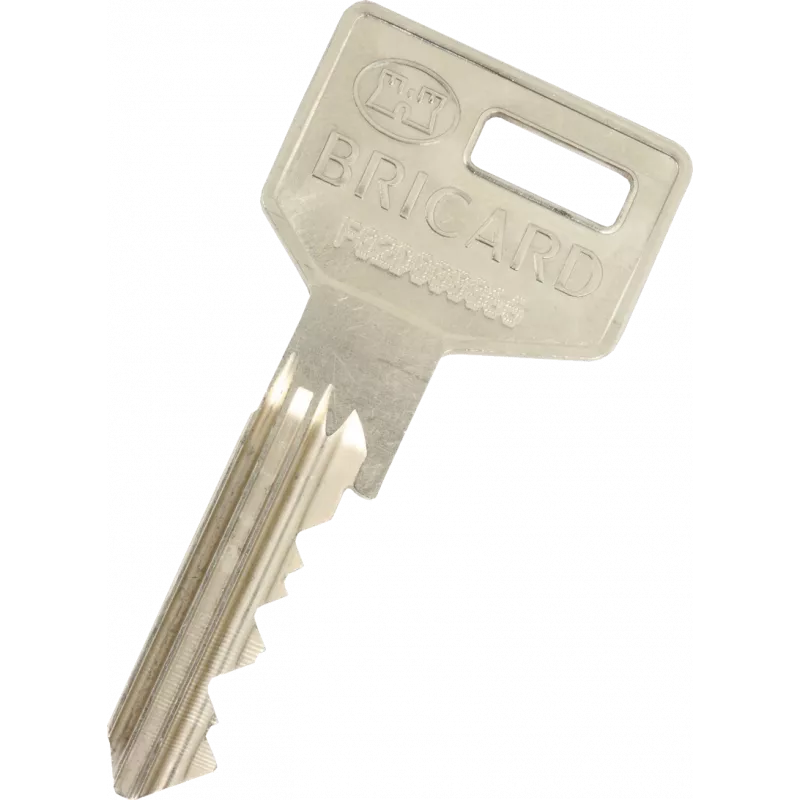 Double Bricard Octal PP/PG pass key