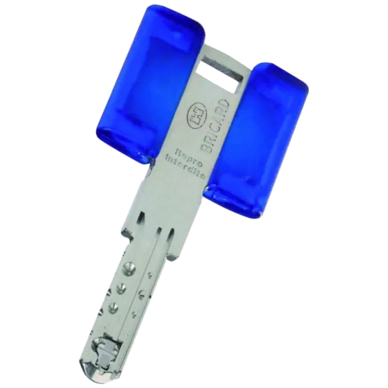 Bricard Chifral S2 PP/PG pass key duplication