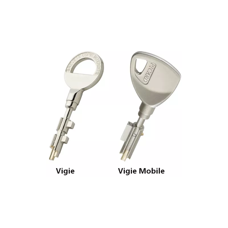 Mécanisme Présence 3 pour porte Picard Diamant 3