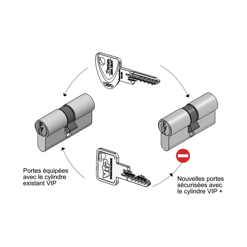 Vachette VIP+ Cylinder