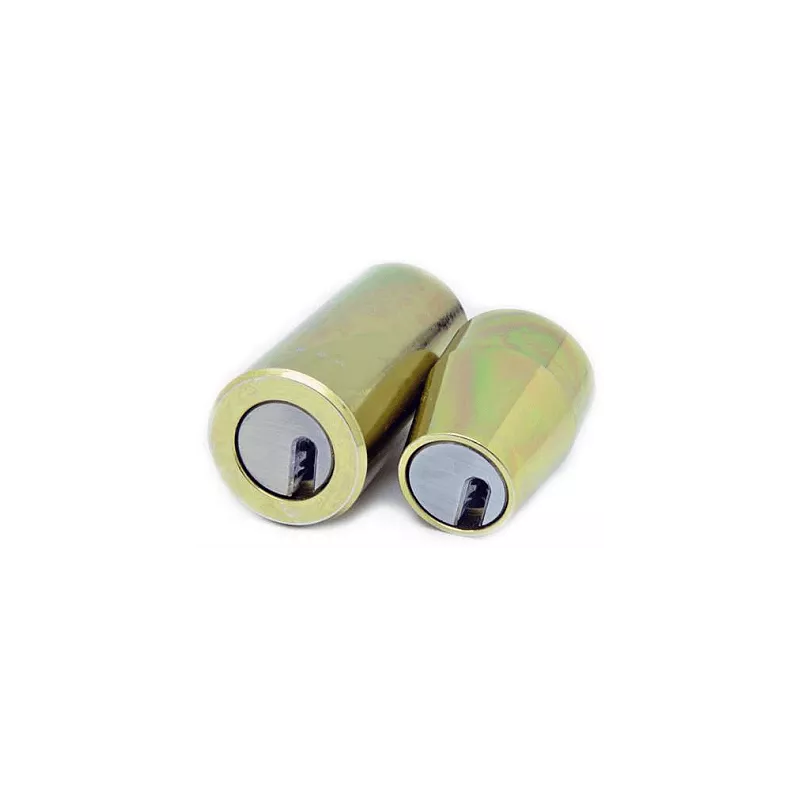 Cylindre Medeco Duracam adaptable Izis