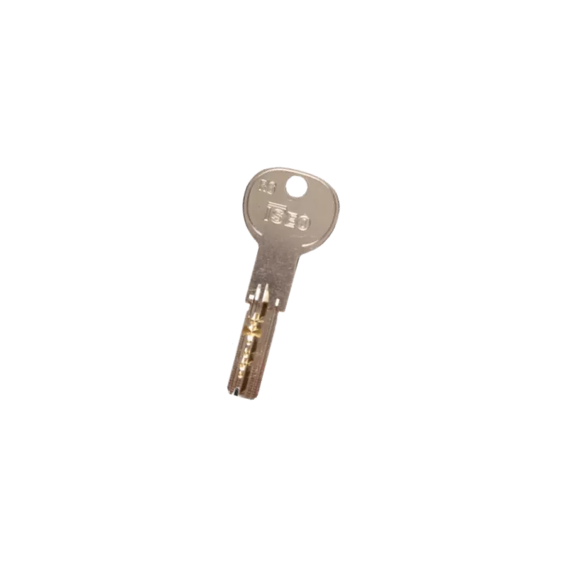 Iseo R8 Duplicate Key